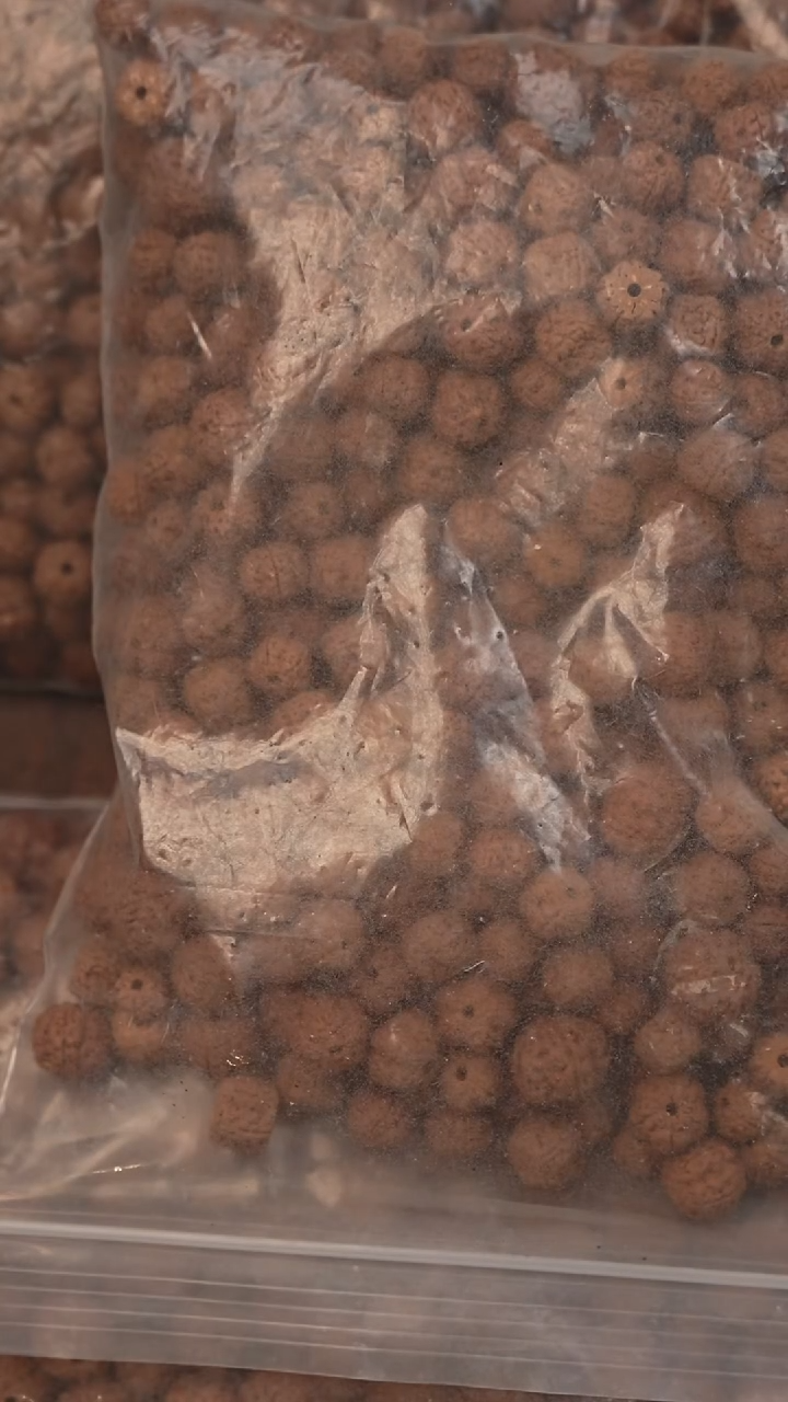 吊坠金刚菩提1111散籽 散籽 散籽