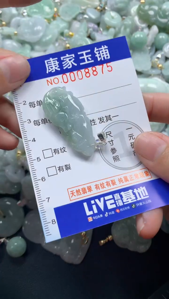 颈饰未镶嵌翡翠8875