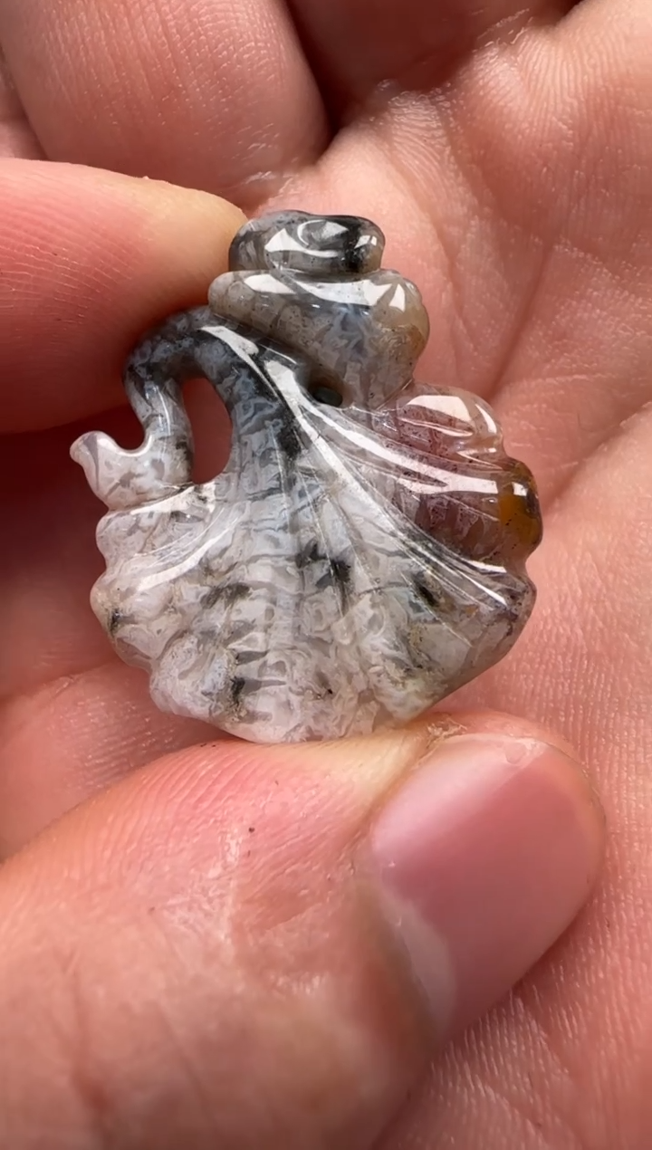 【闪购商品】硅化珊瑚（珊瑚玉）颈饰未镶嵌699