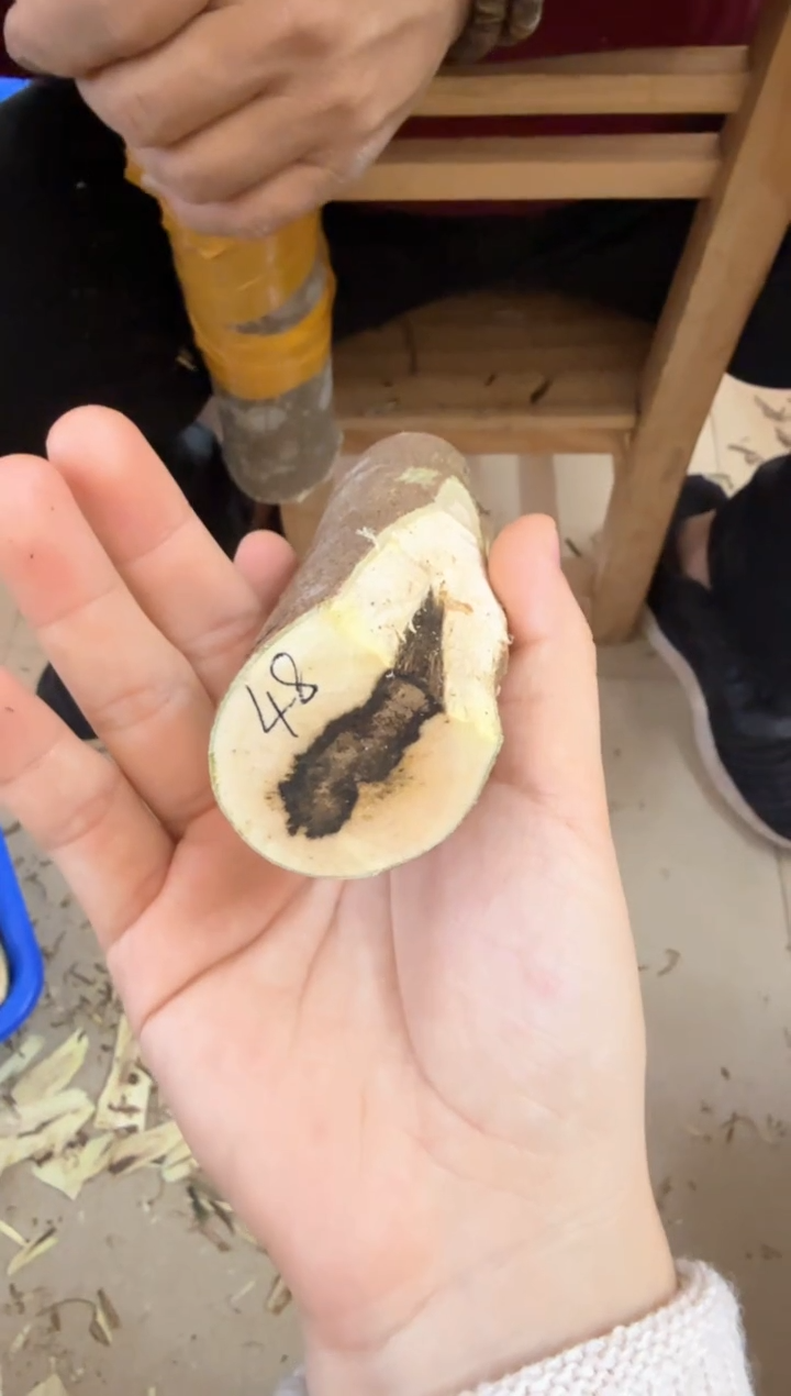 【闪购商品】沉香沉香碎屑棋楠沉香 香料