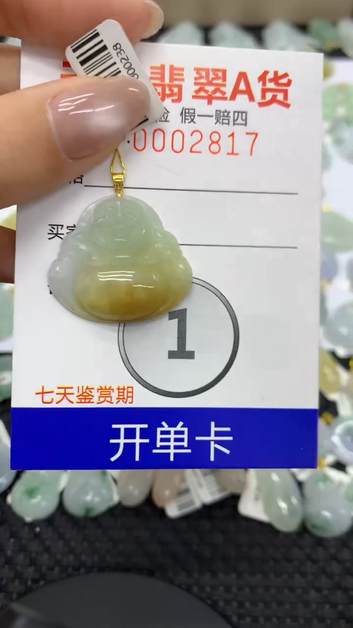【闪购商品】翡翠颈饰18K金镶嵌11111111111