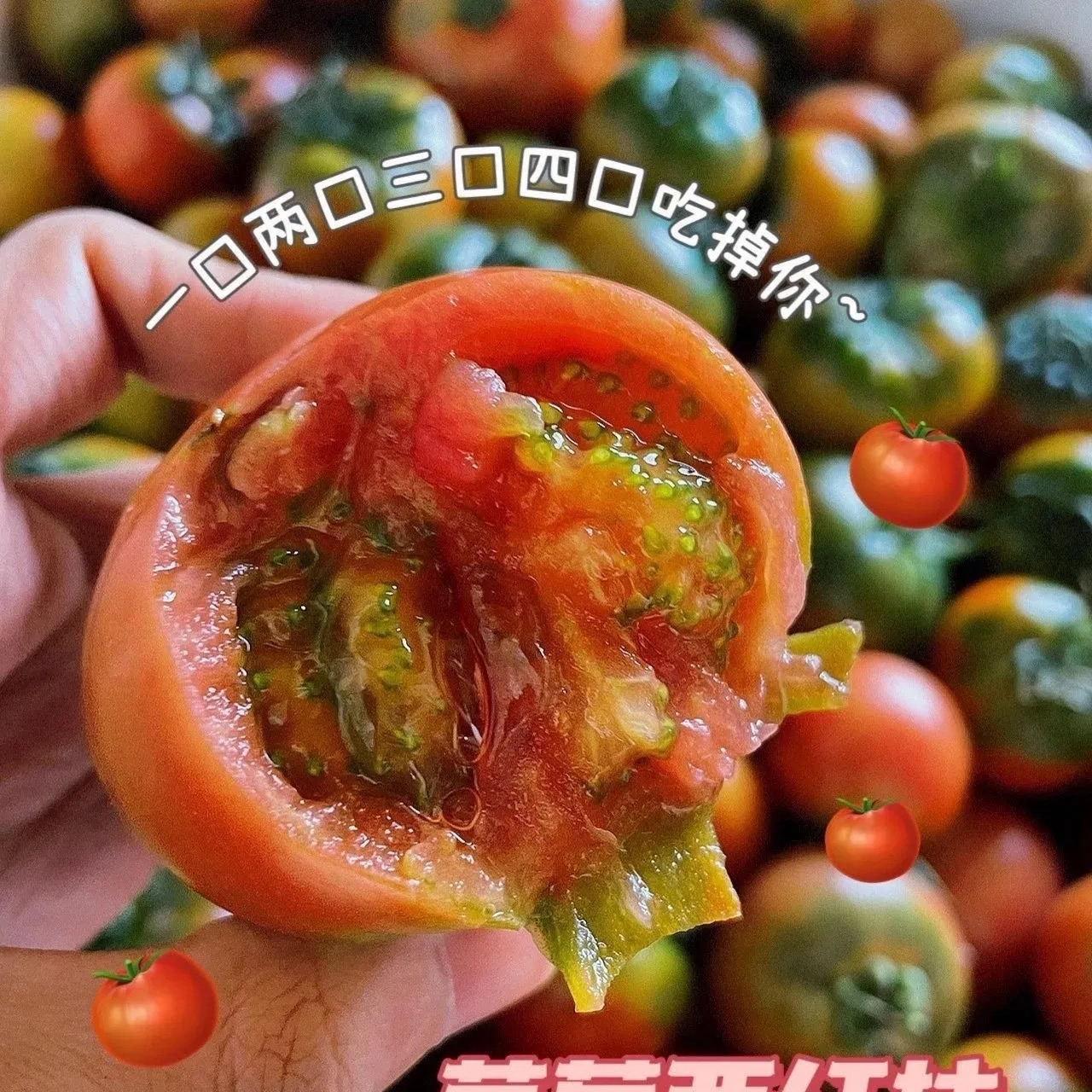《顺丰包邮》铁皮柿子黄贵妃柿子混合装新疆维吾尔自治区