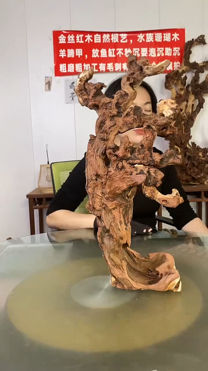 木༺***༻金丝红木 羊蹄甲