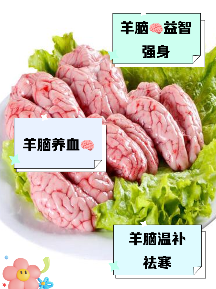 【顺丰发货】新鲜羊脑花生羊脑花可用于火锅羊肉汤