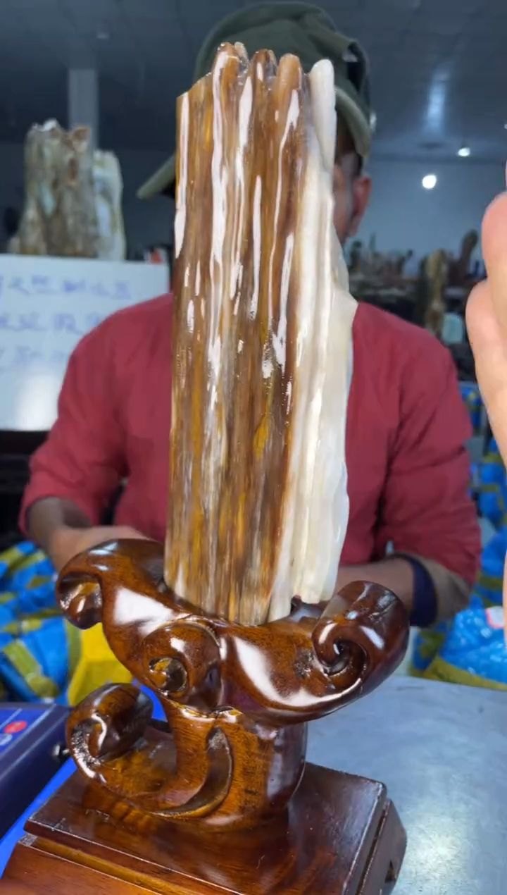 未镶嵌摆件硅化玉6