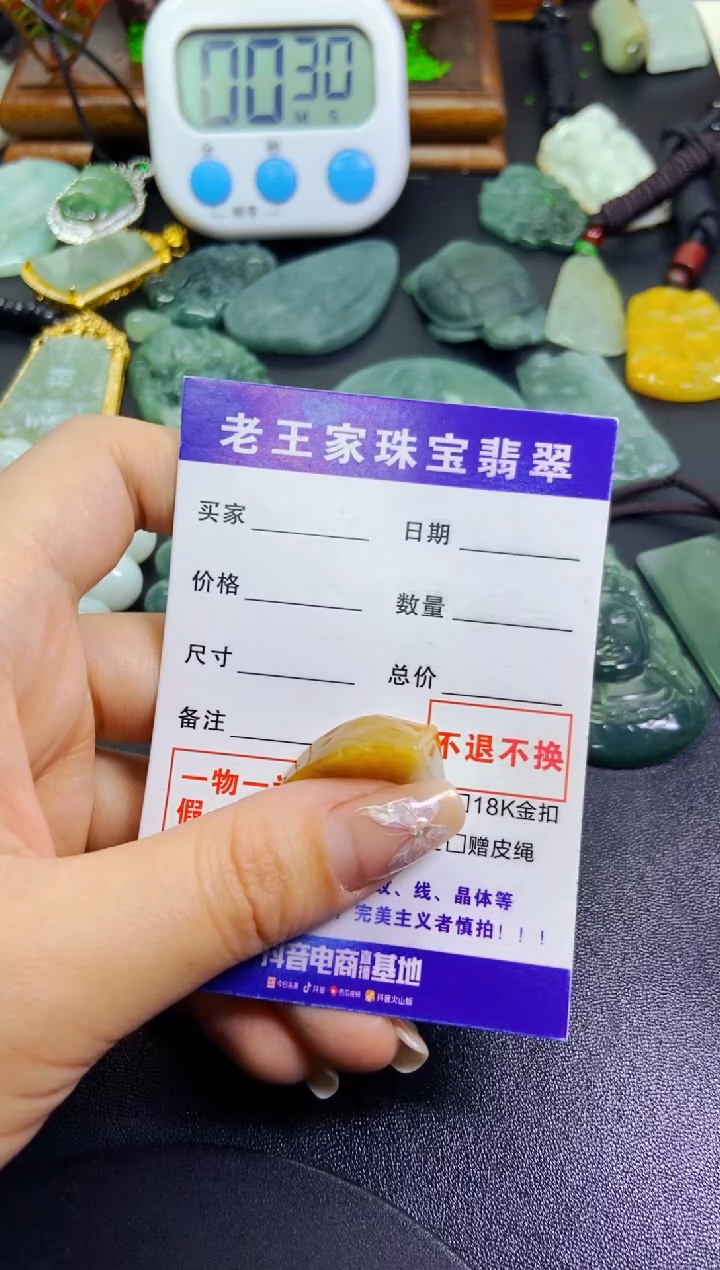 【闪购商品】翡翠颈饰未镶嵌料子