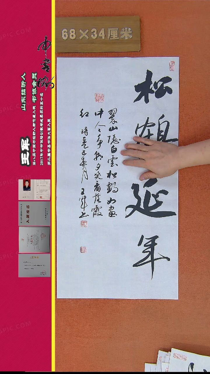 【闪购商品】书法48王军精品书法作品