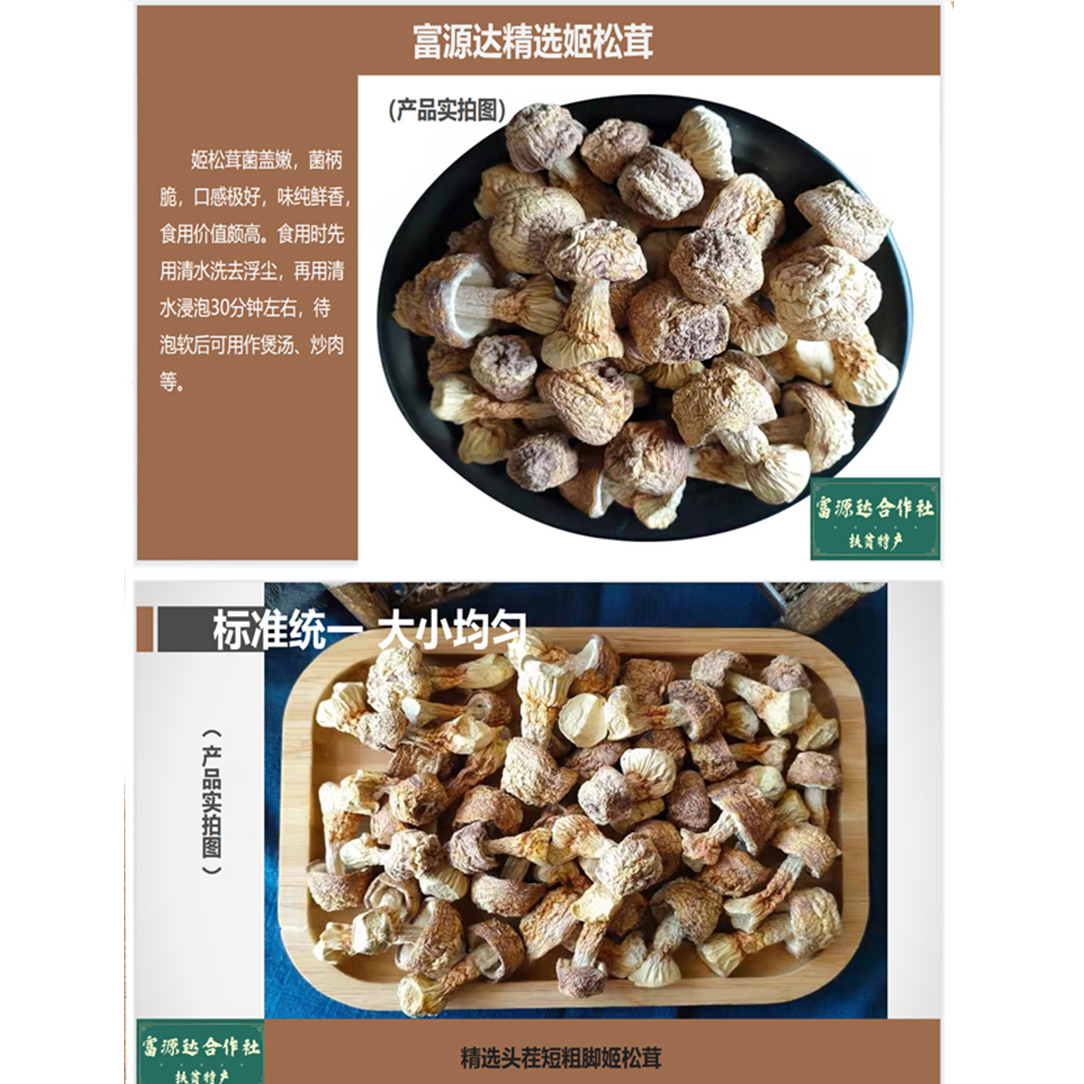 富源达姬松茸农产品
