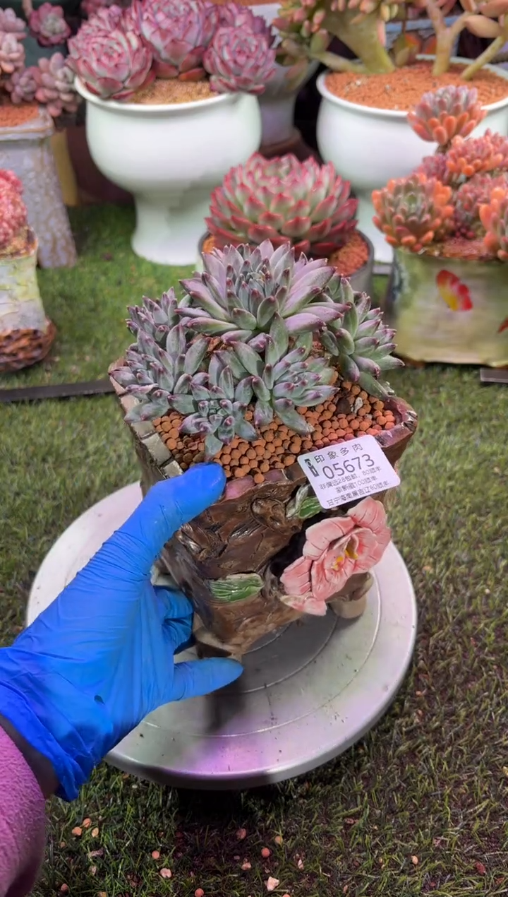 【闪购商品】05673