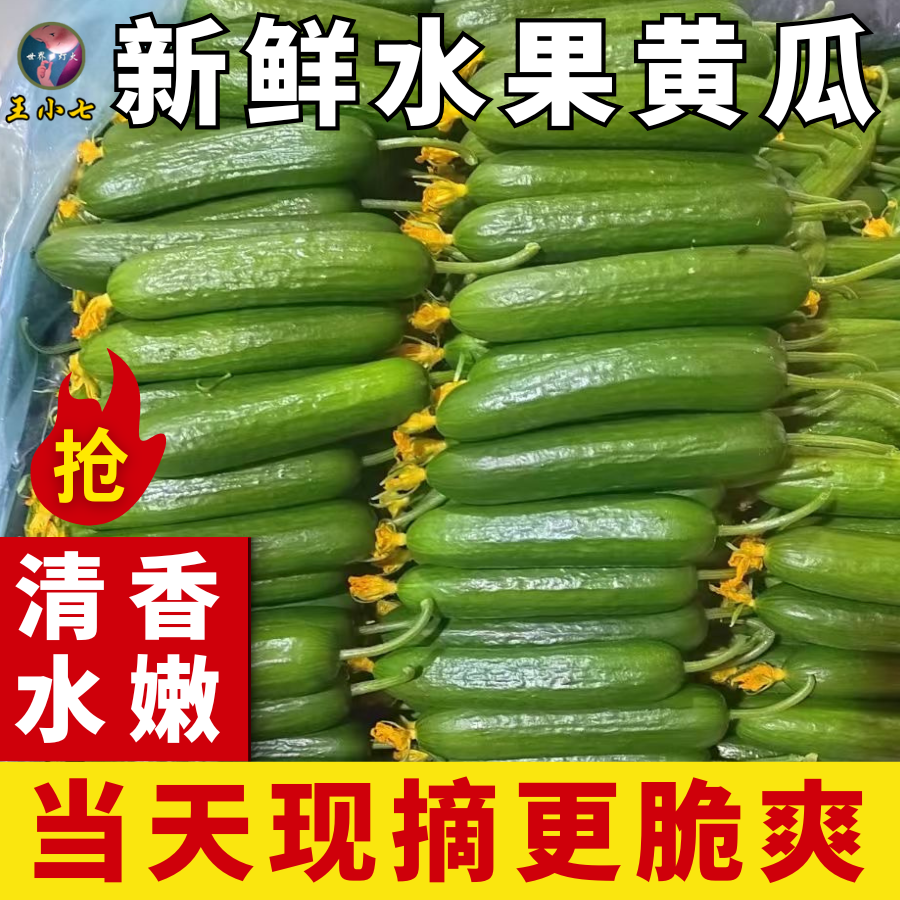 【王小七自营】寿光水果黄瓜生吃脆新鲜脆嫩青瓜当季无刺小黄瓜蔬菜