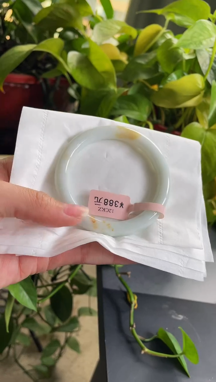 【闪购商品】翡翠手镯未镶嵌04手镯