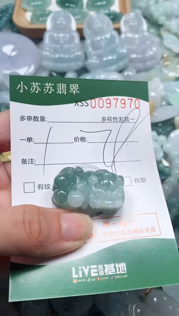 【闪购商品】翡翠颈饰未镶嵌闪购商品0097970