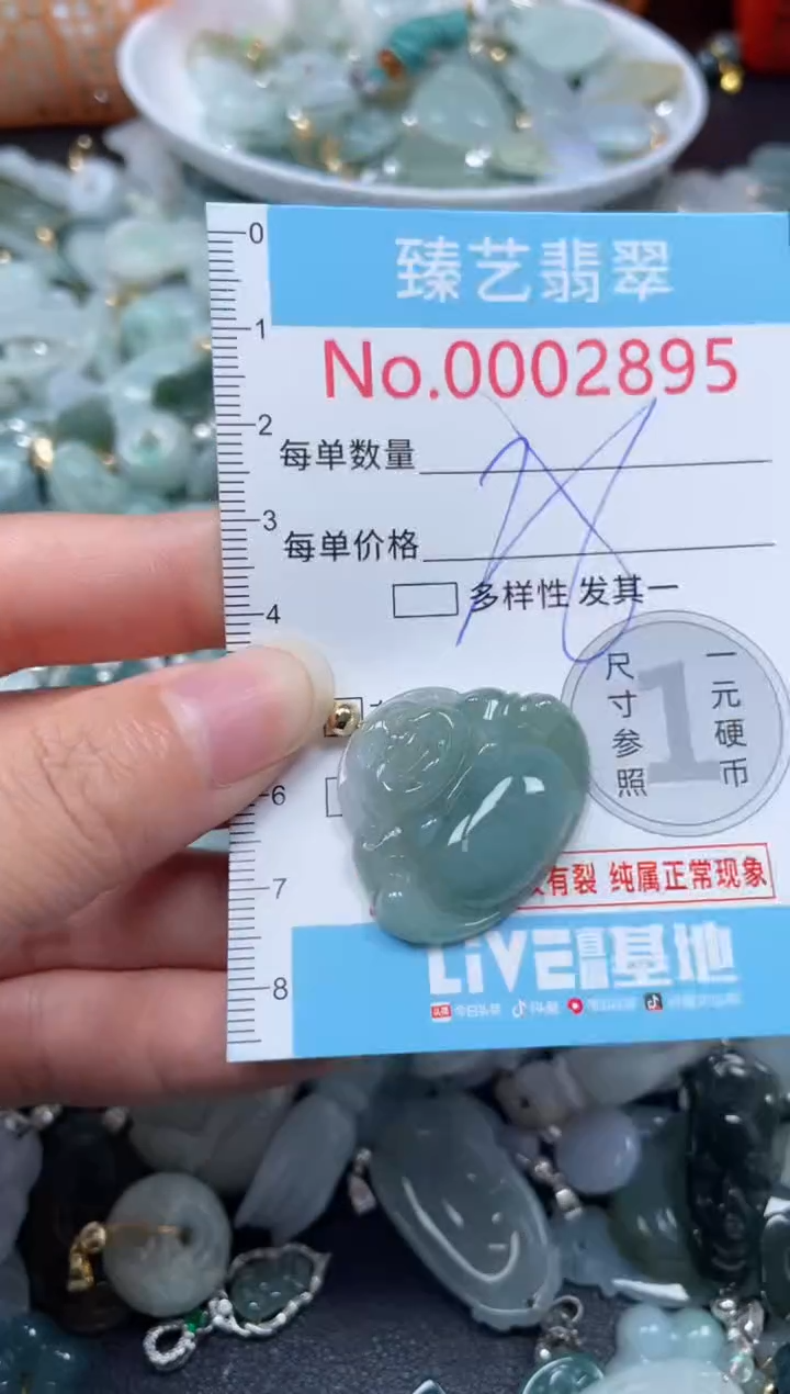 颈饰未镶嵌翡翠2895