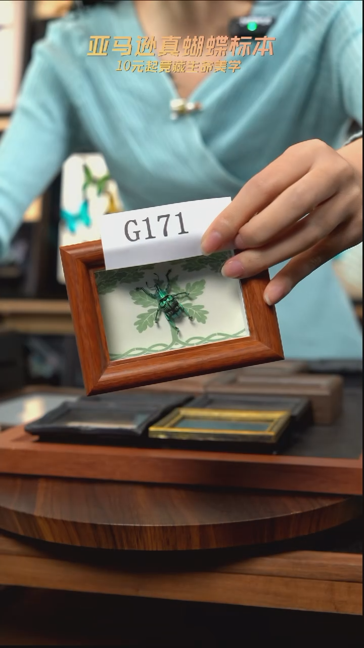 冰箱贴标本摆件g171