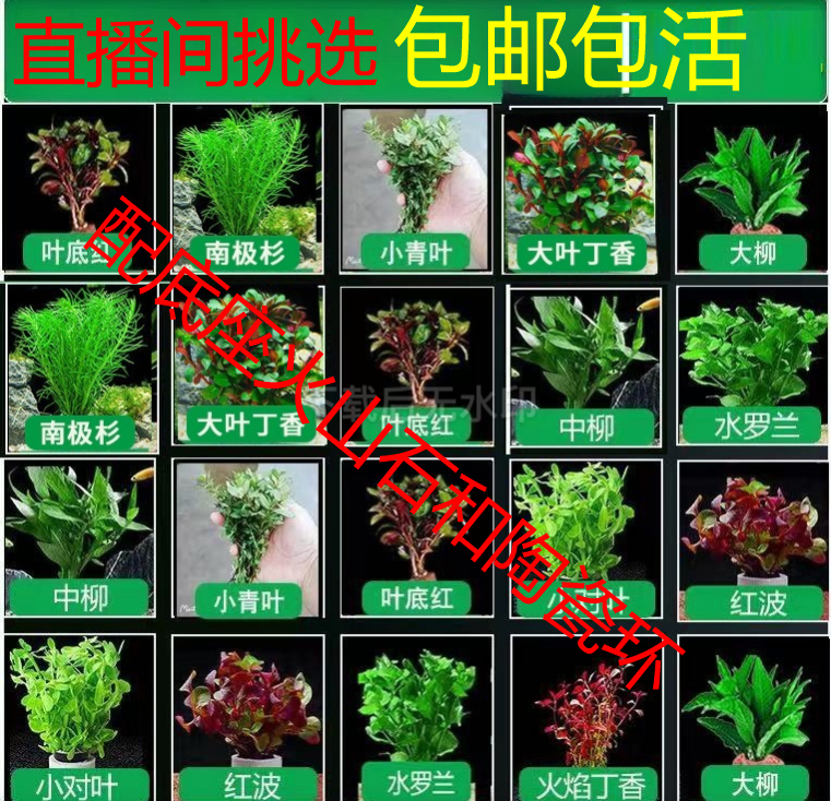 清理美景真造景套餐可净化水质专用鱼缸造景
