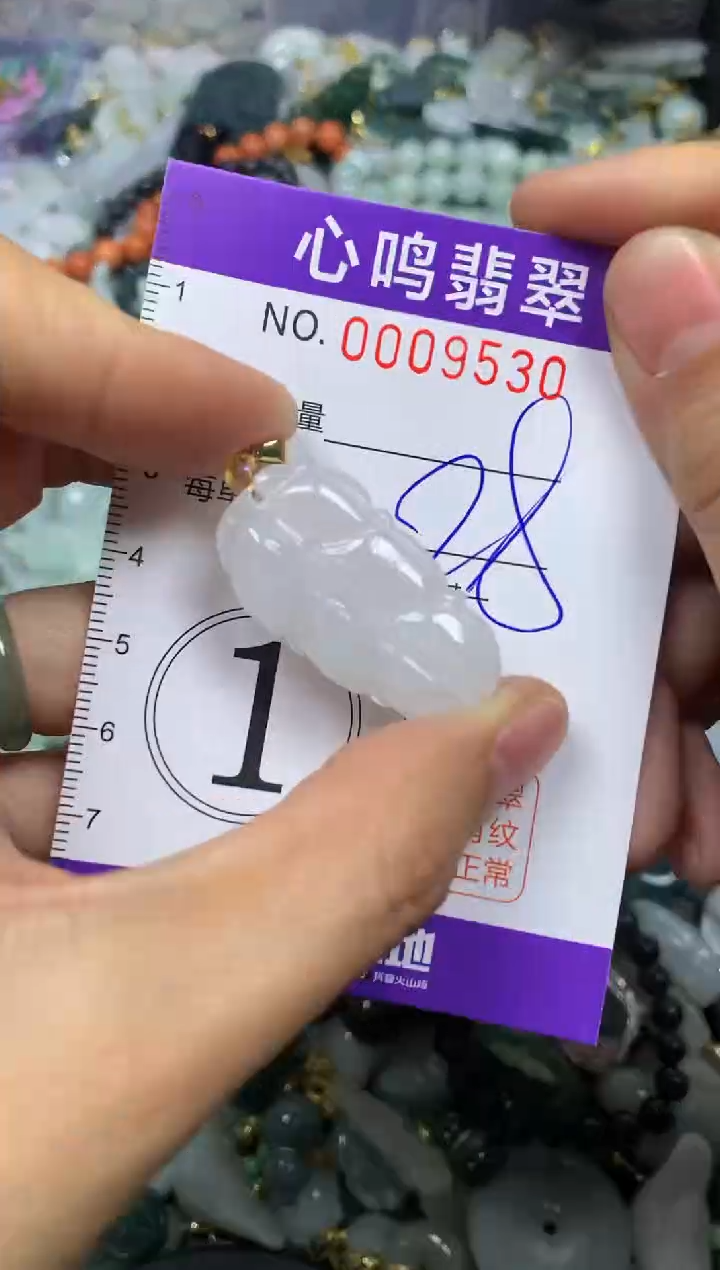 【闪购商品】翡翠颈饰未镶嵌闪购009530