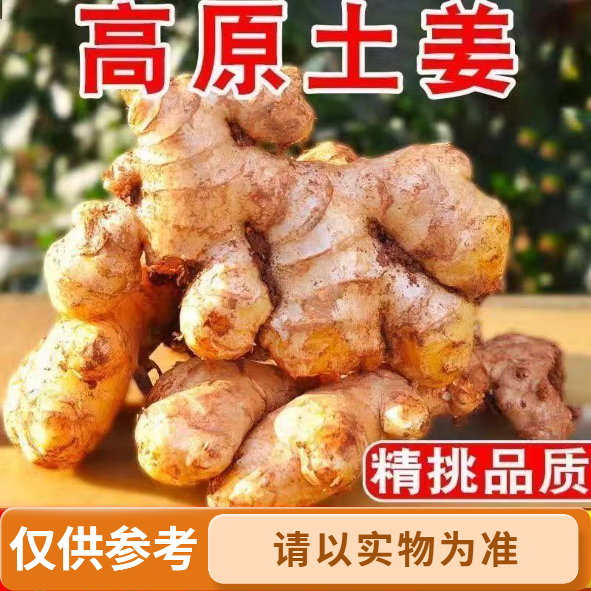 正宗贵州高山镇宁小黄姜农家自种生姜姜味浓郁原泥老姜辛辣十足