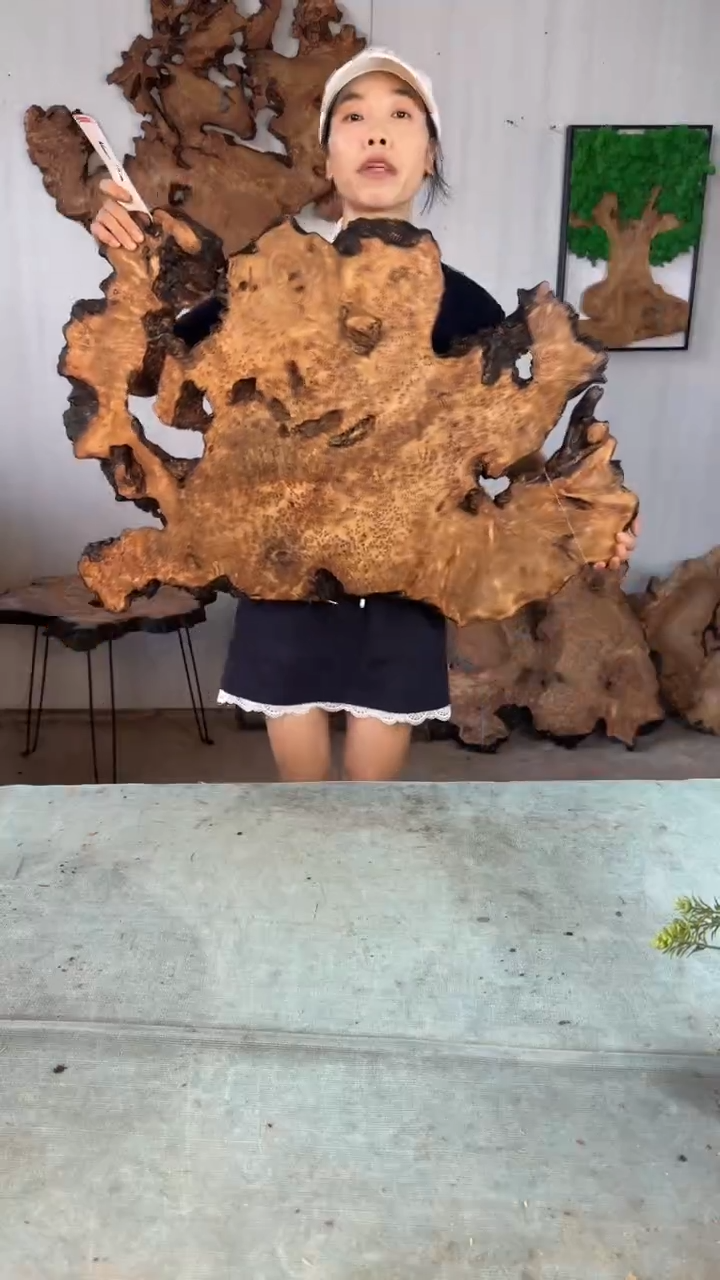 香杉木杉木瘤随型【原料】027