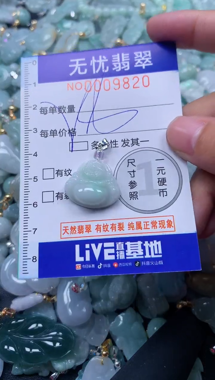 颈饰未镶嵌翡翠9820
