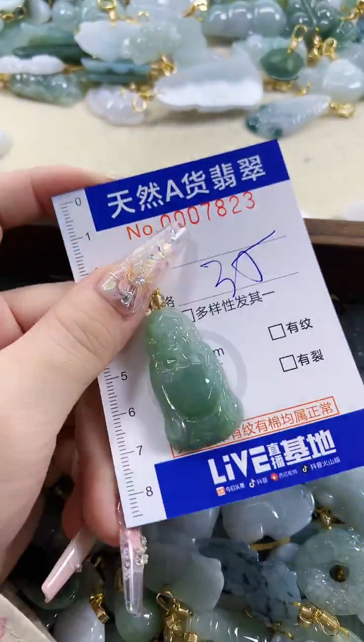 颈饰未镶嵌翡翠天然A货翡翠