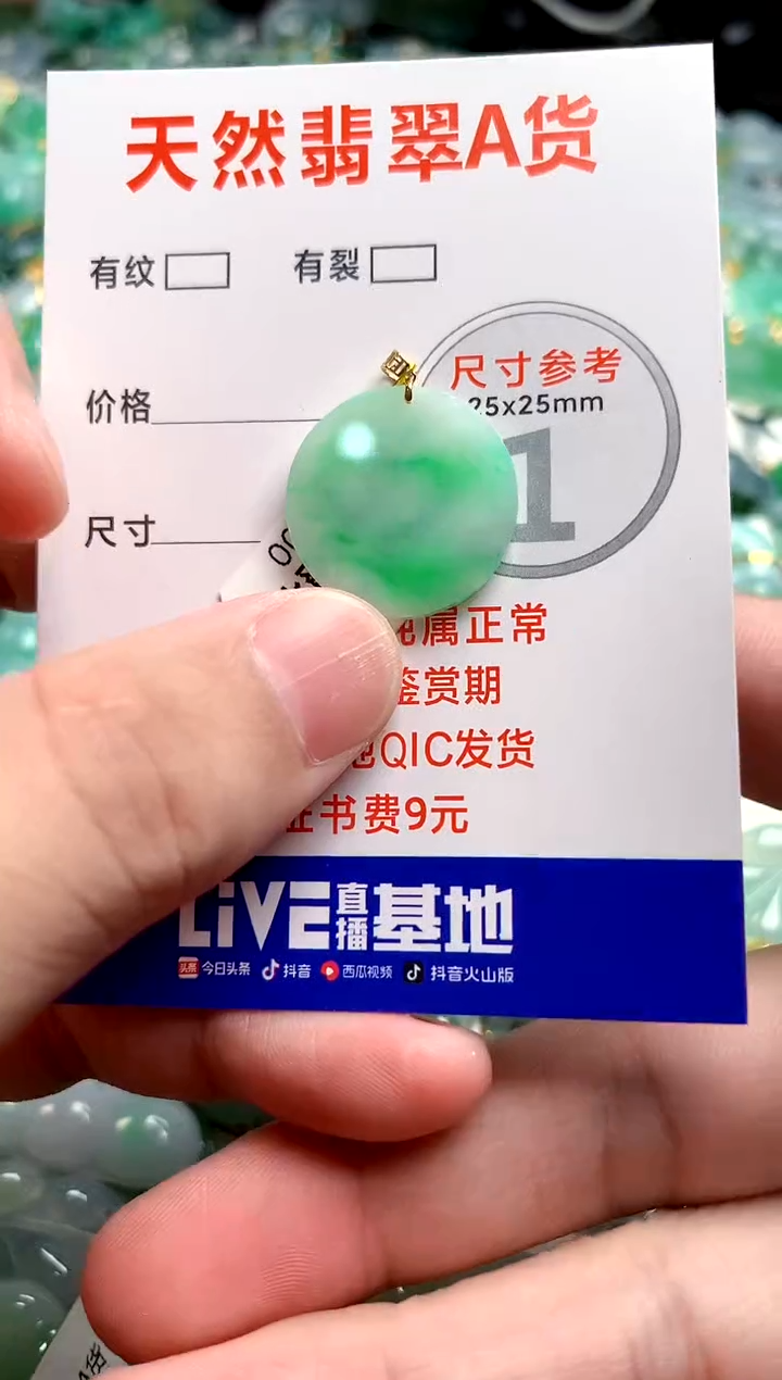 翡翠18K金镶嵌颈饰0582927542