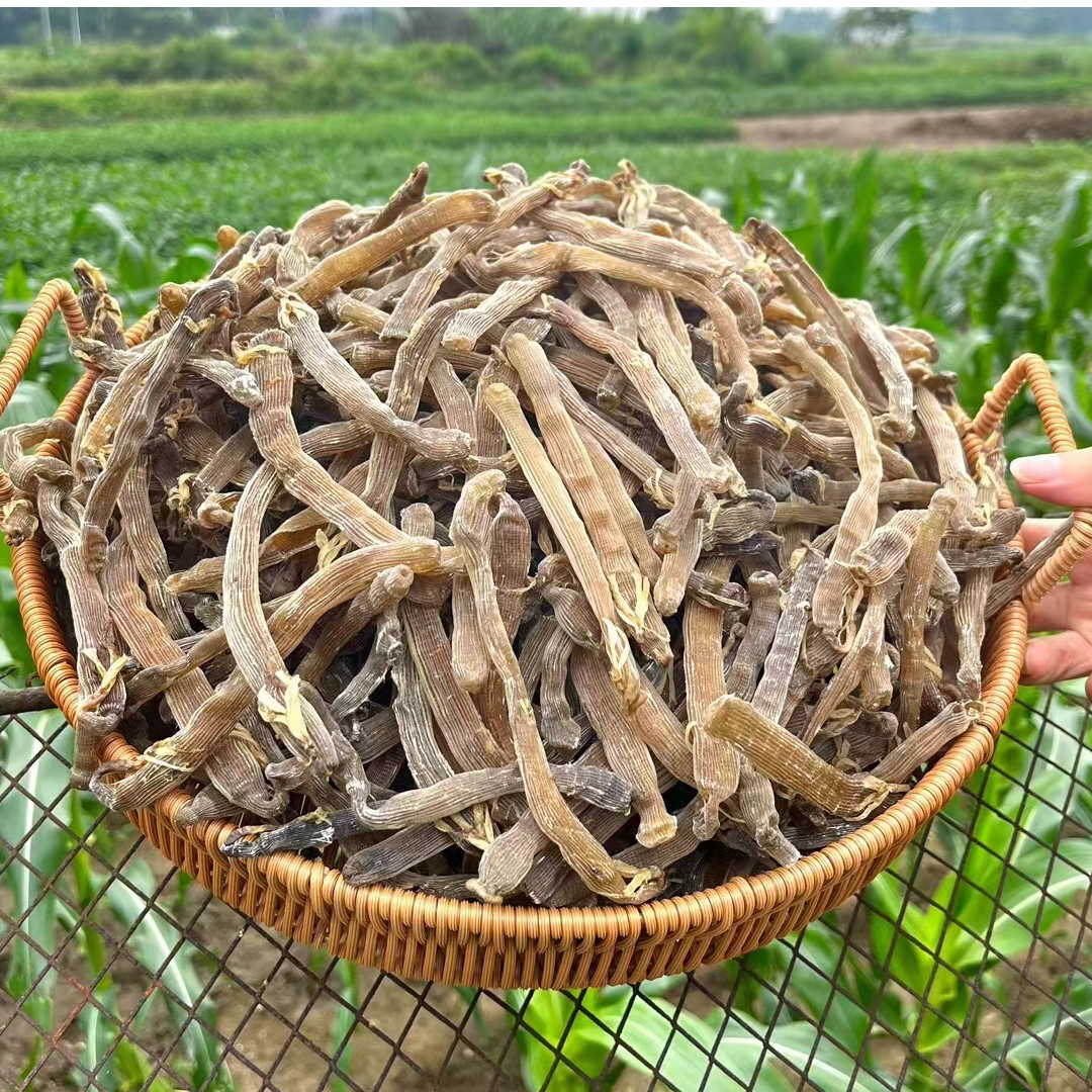 渔民自晒灰沙虫干 煲汤煲粥好鲜甜 营养非常高