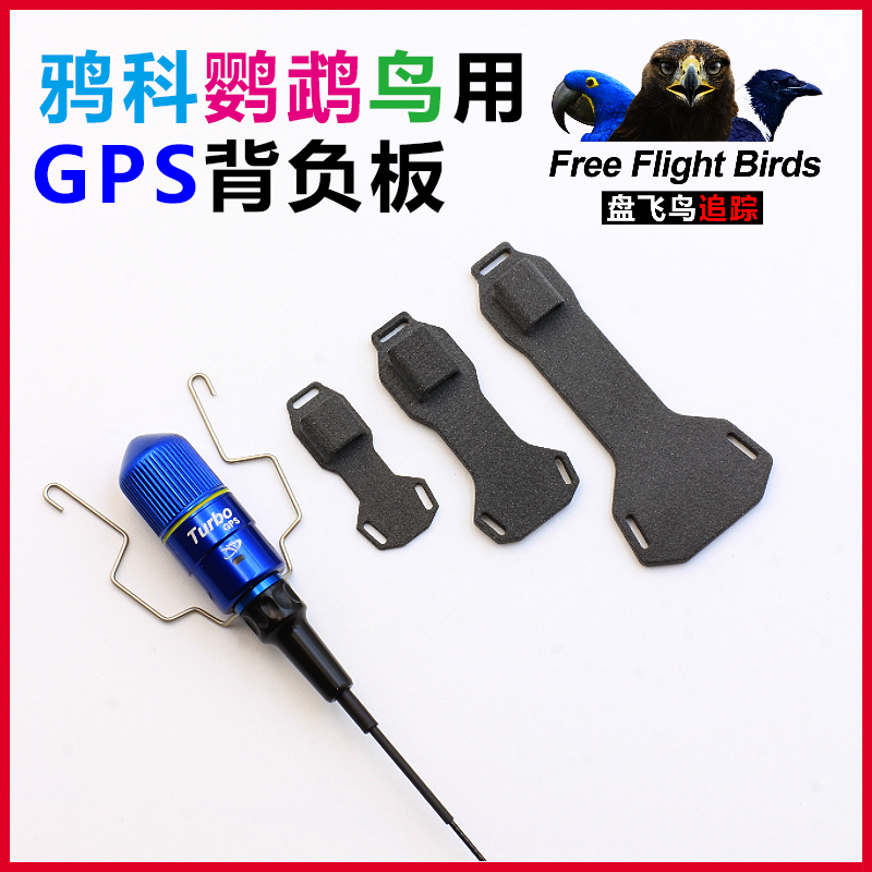 鸟用背负板GPS追踪定位器渡鸦白颈乌鸦科红嘴山鸦寒鸦放飞长待机