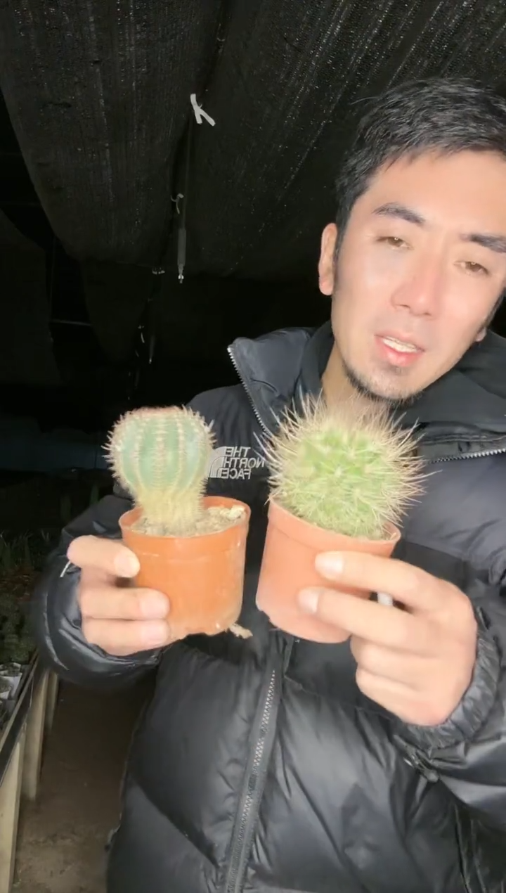 【闪购商品】大号混乱玉加南昌玉