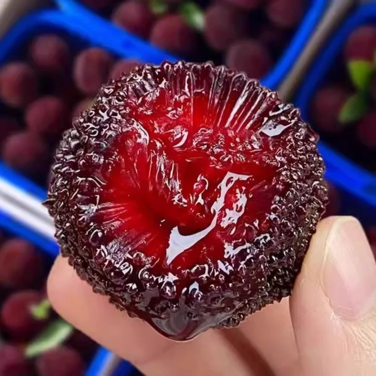 【中果7-11g/颗】石屏松香硬丝杨梅云南高原杨梅现摘现发应季水果