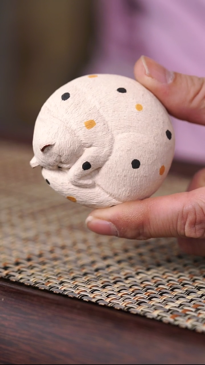 原矿茶宠猫咪趴着