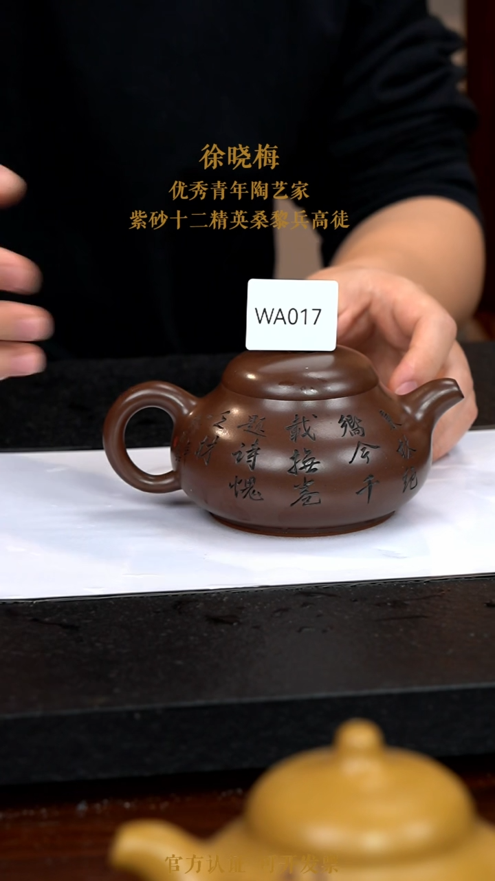 【闪购商品】紫砂茶壶WA017-0118MXX
