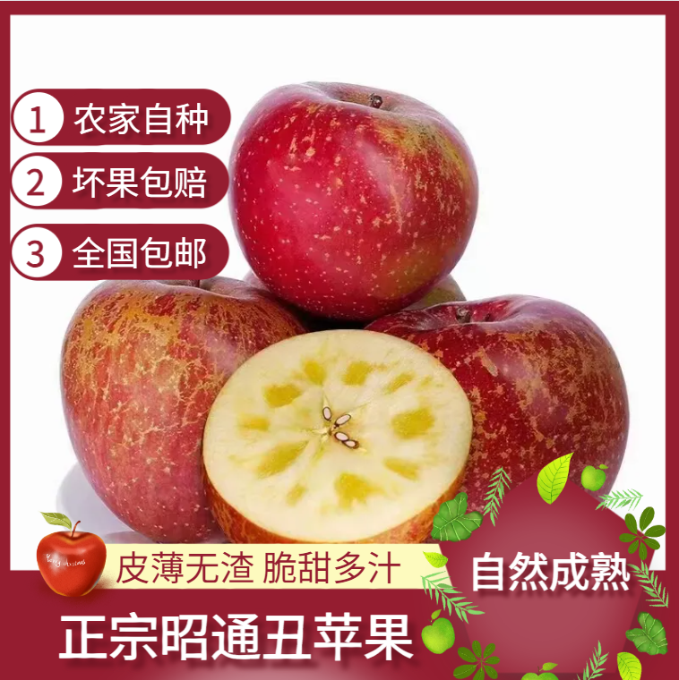 【云南昭通丑苹果】果园现摘现发脆甜多汁昭通冰糖心苹果新鲜水果