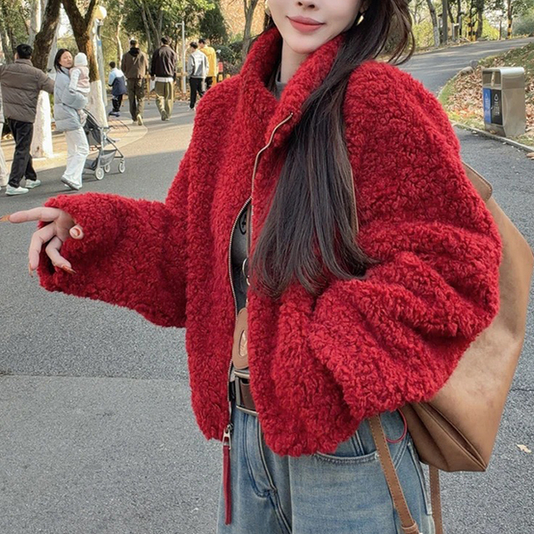 韩版时尚立领短款毛毛外套女2025冬季新款宽松显瘦加厚保暖上衣