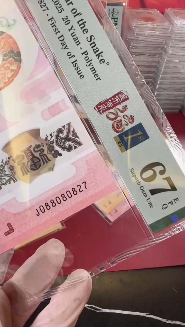 【闪购商品】塑料2025蛇钞单张裸啊啊啊啊啊啊