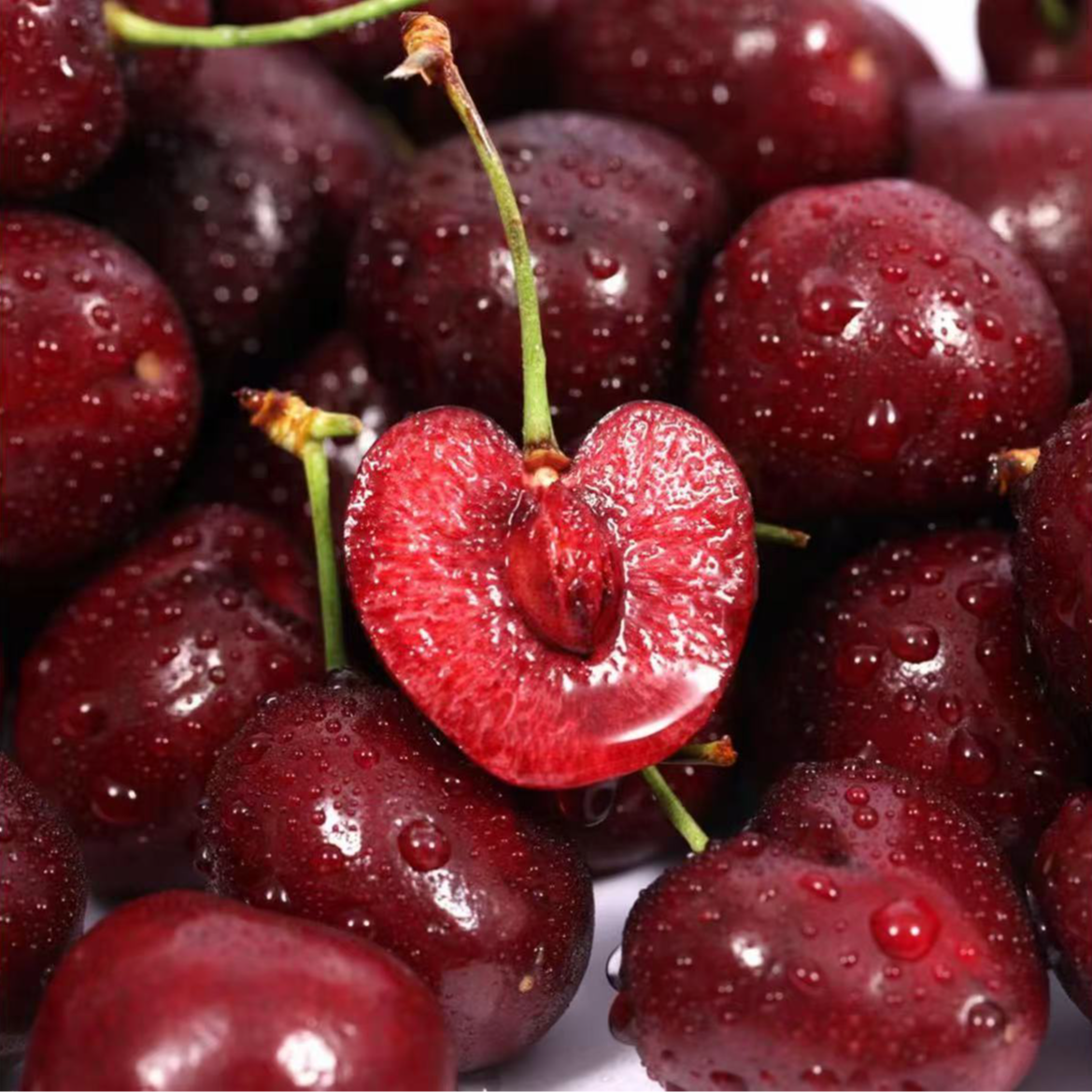 4JD升级黑车果王【今天拍明天到】智利海运进口车厘子1.6斤桑提娜内附果径卡桑提娜智利共和国