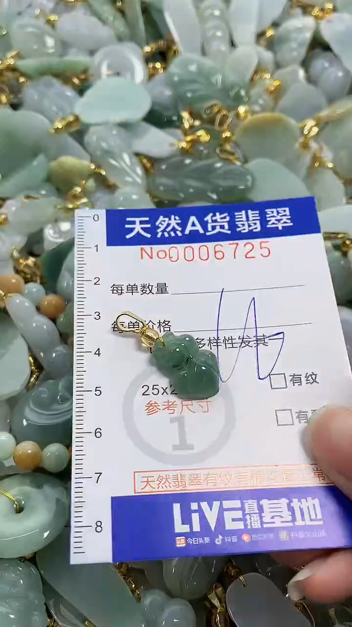 颈饰未镶嵌翡翠纯天然货a翡翠