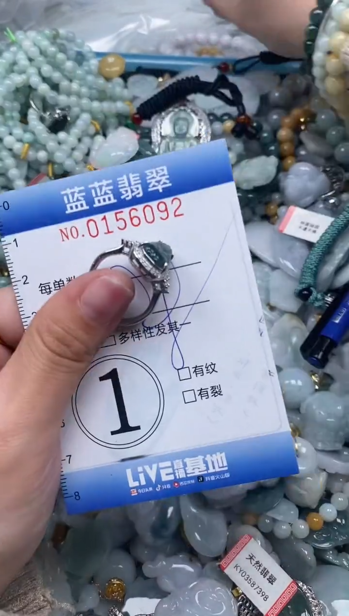 【闪购商品】翡翠颈饰未镶嵌闪购0156092