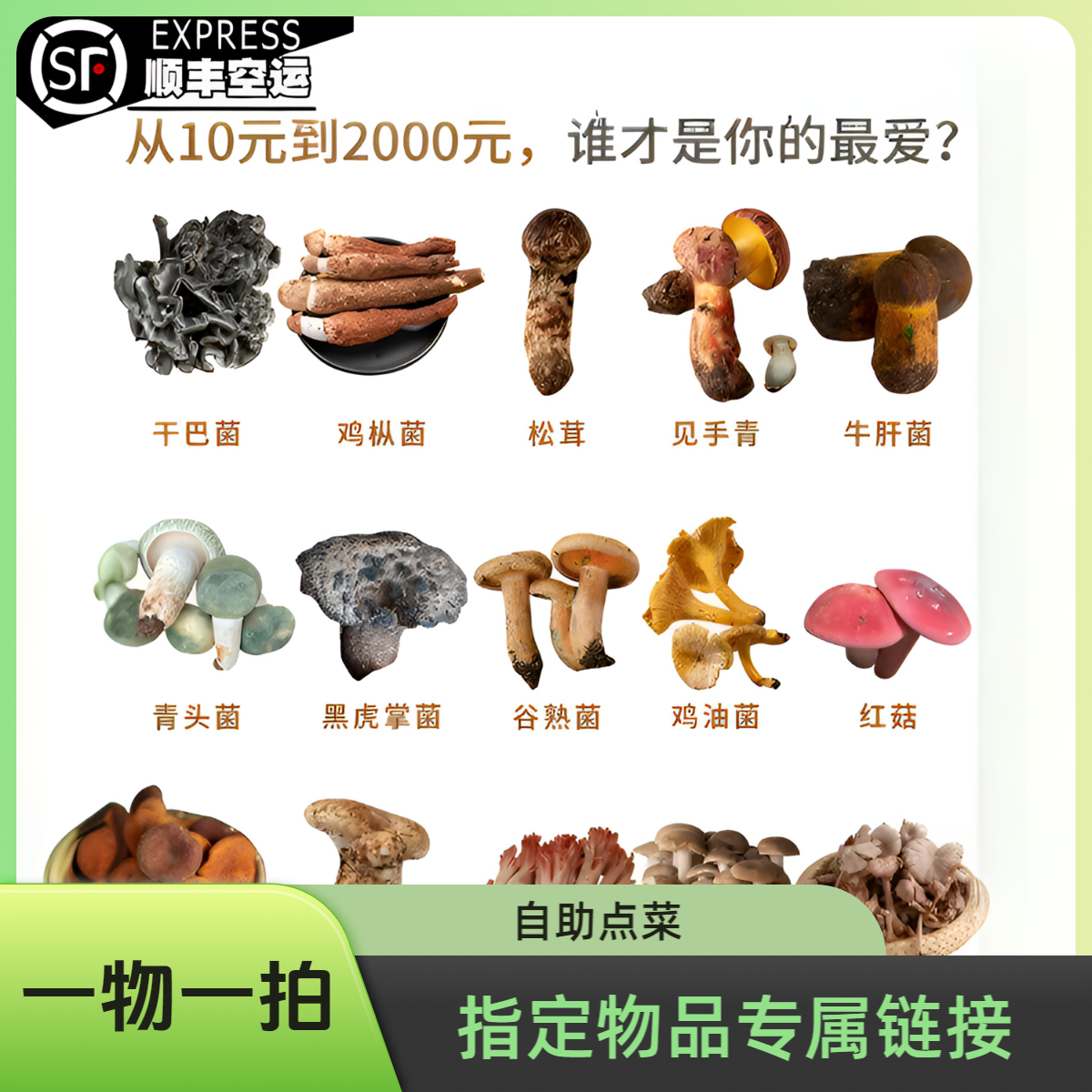 董货郎专属一物一拍指定价格指定链接品质保证