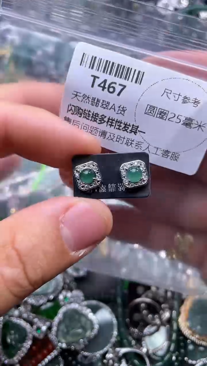 【闪购商品】翡翠颈饰未镶嵌T467耳钉