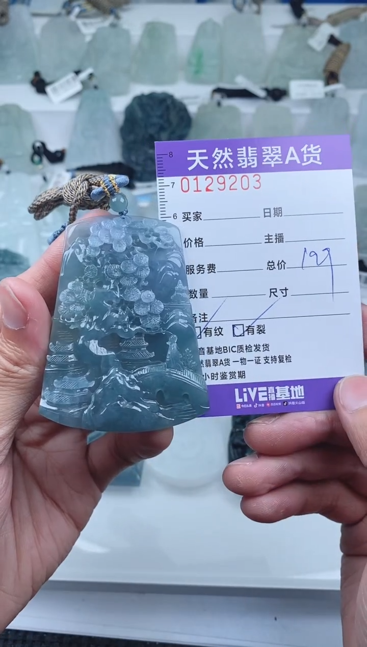 【闪购商品】翡翠颈饰未镶嵌        203