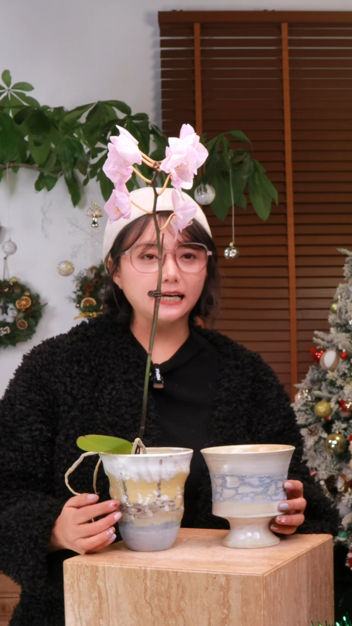 咧****?【花漾多】景德镇手工盆盆包邮A389