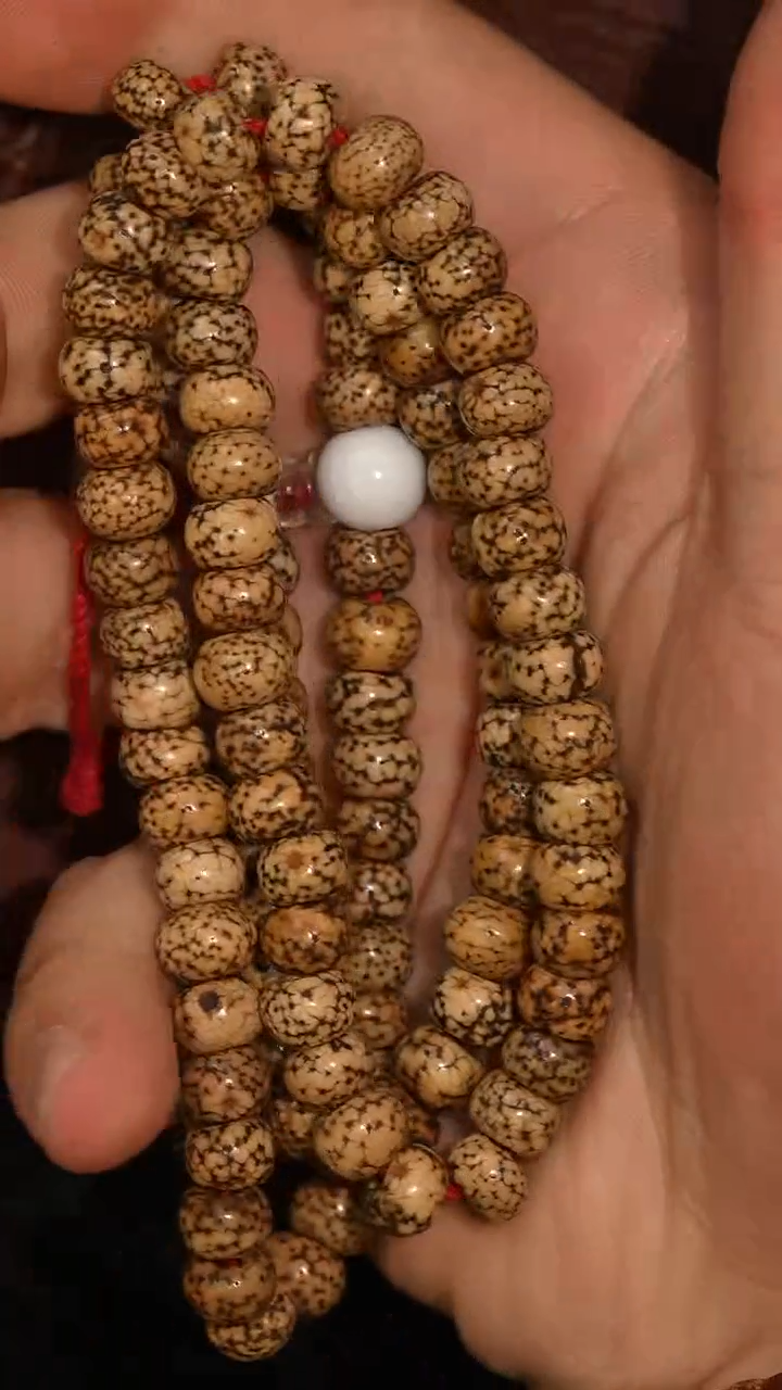 冲赛康胡子哥，藏传念珠181