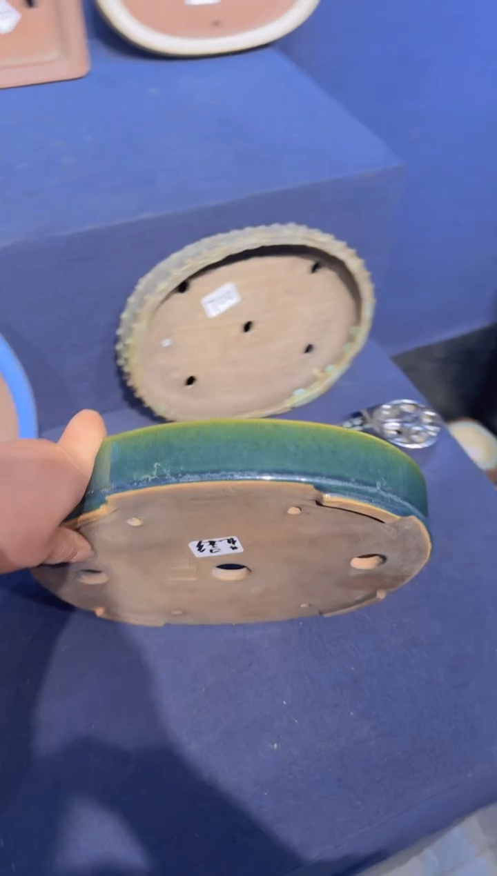 【闪购商品】抖店阳明交趾花影椭圆绿釉W96