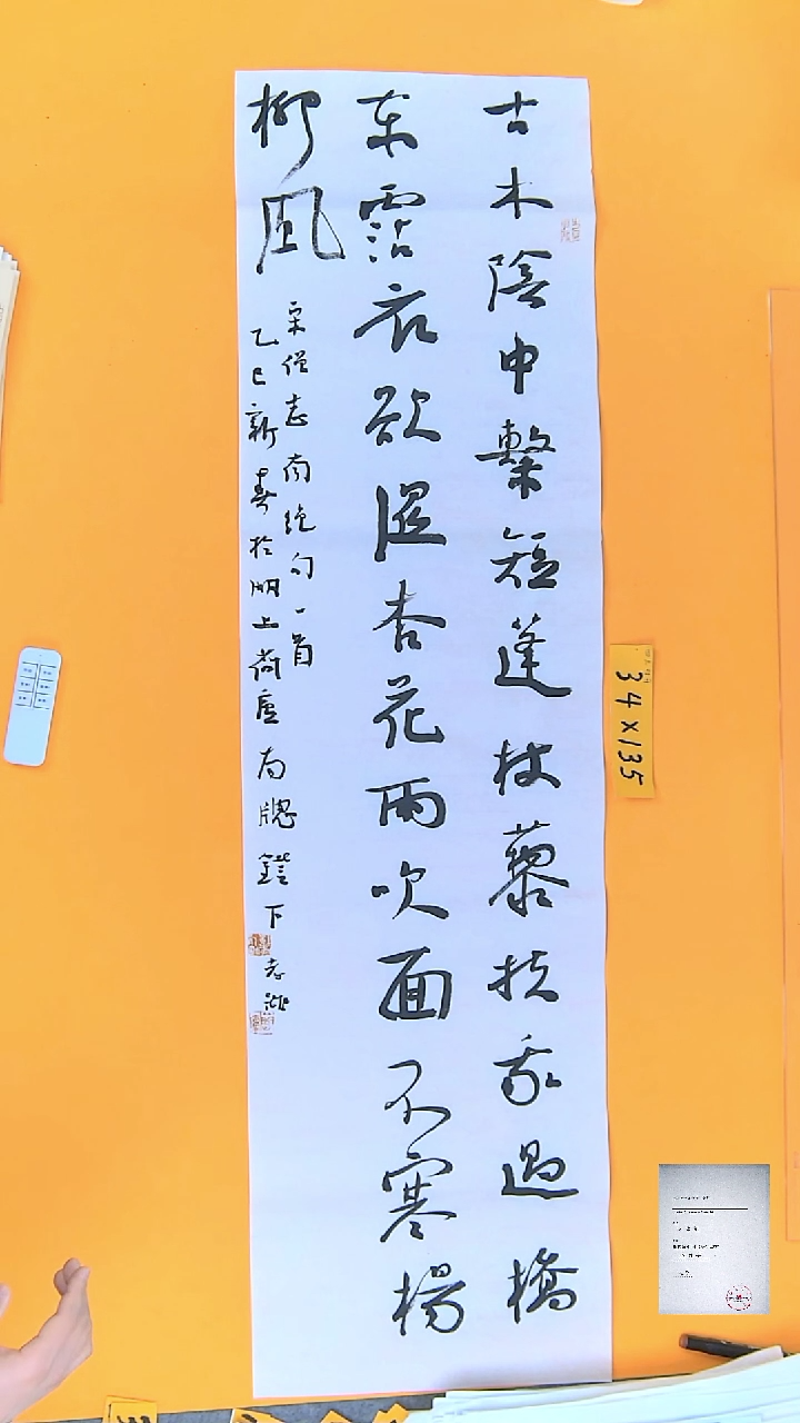 【闪购商品】书法江孝龙书法古木隂中34*135