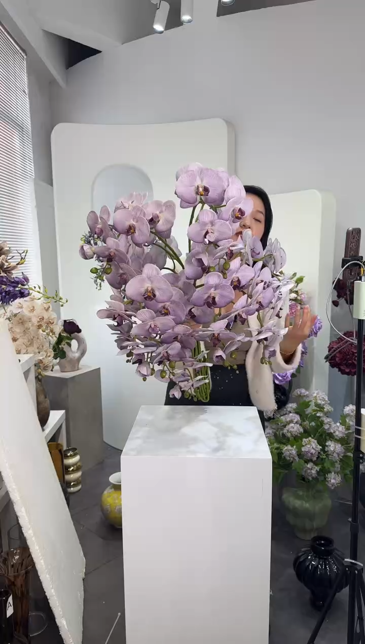 【闪购商品】藤10枝香芋紫蝴蝶兰