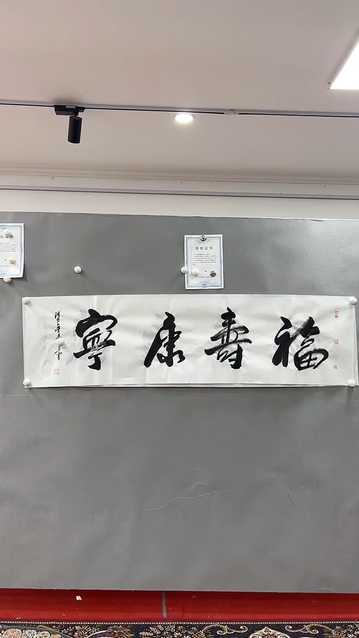 【闪购商品】书法雅艺典藏文化书法