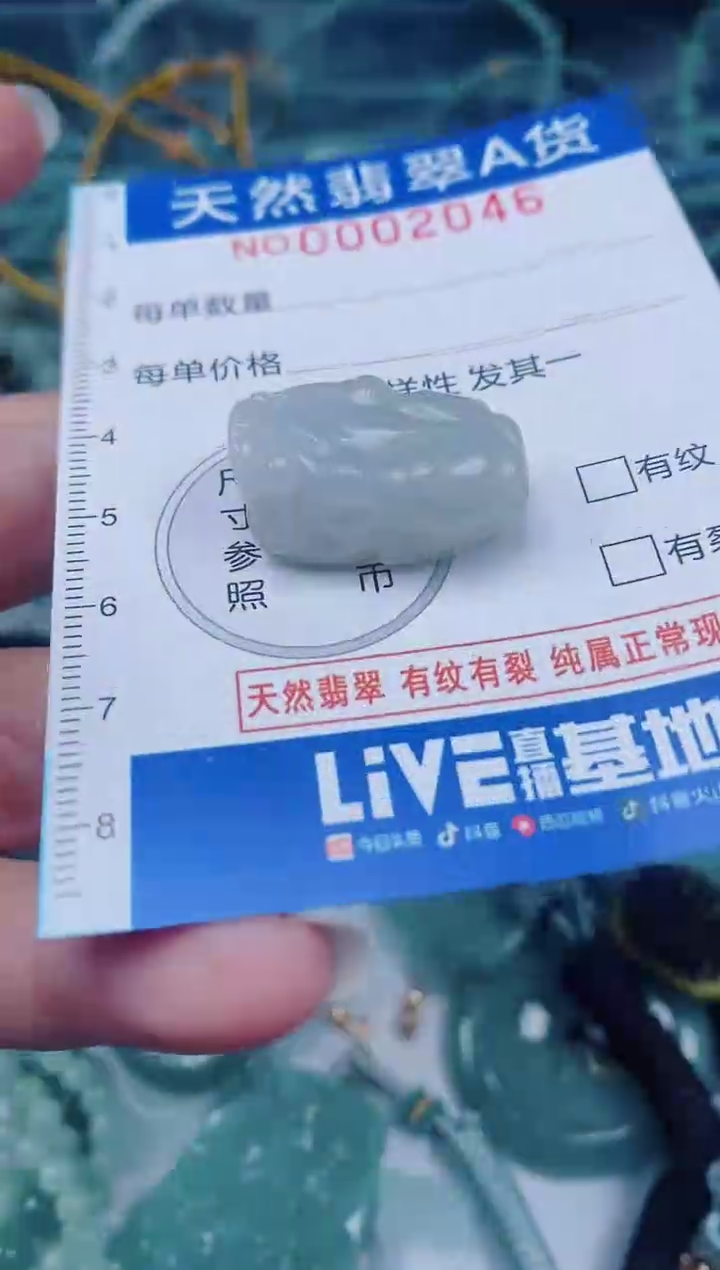 颈饰未镶嵌翡翠00002046