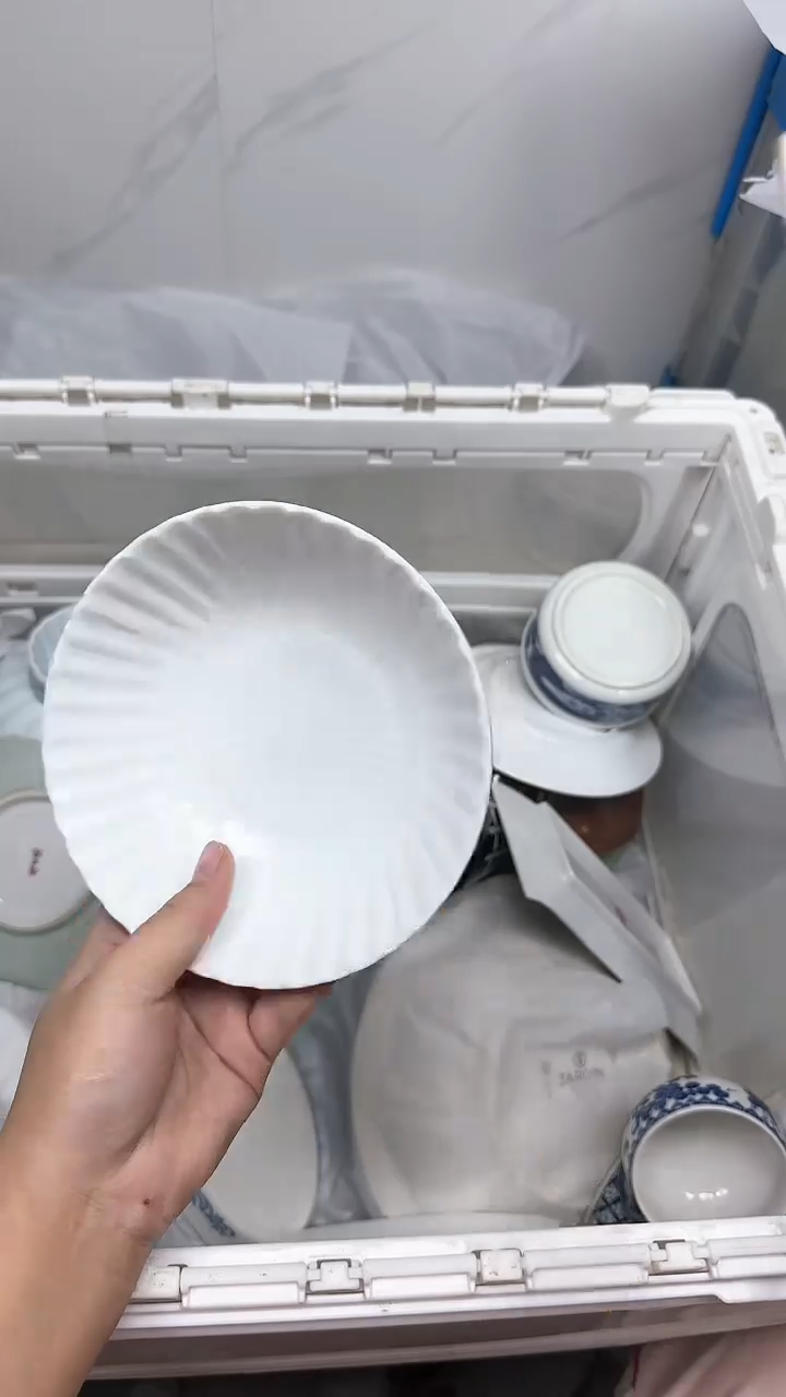 【闪购商品】671回流瓷器默认微瑕，18.8包邮