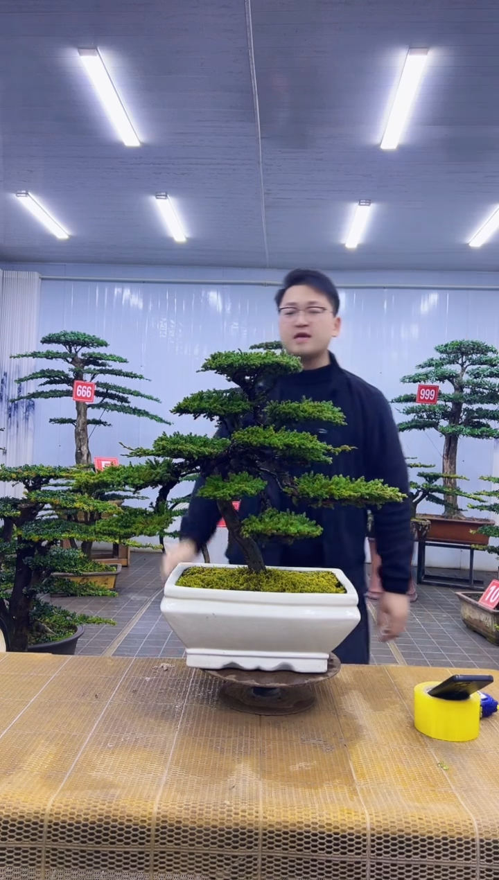 无花朵00000000000000000