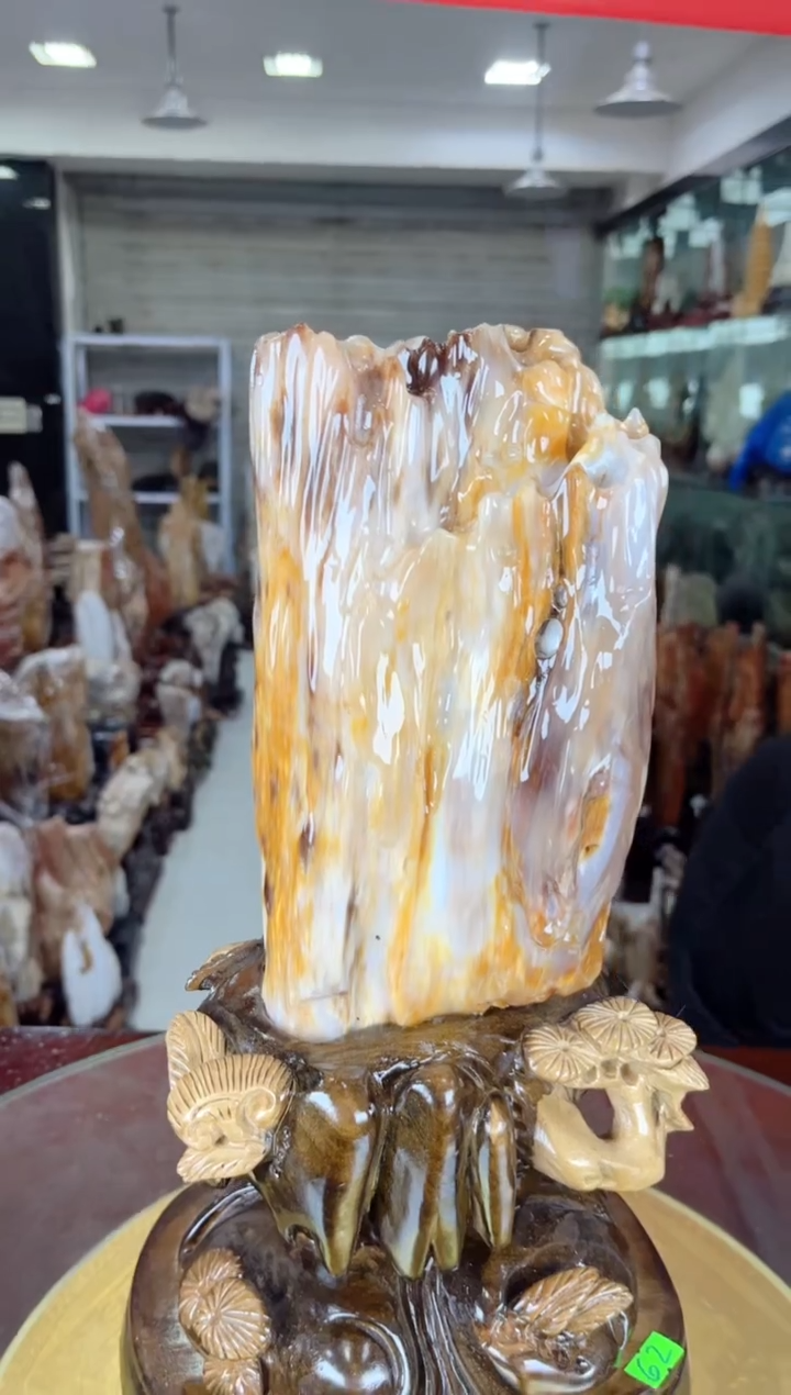 【闪购商品】硅化玉珠宝奇石未镶嵌缅甸天然树化玉